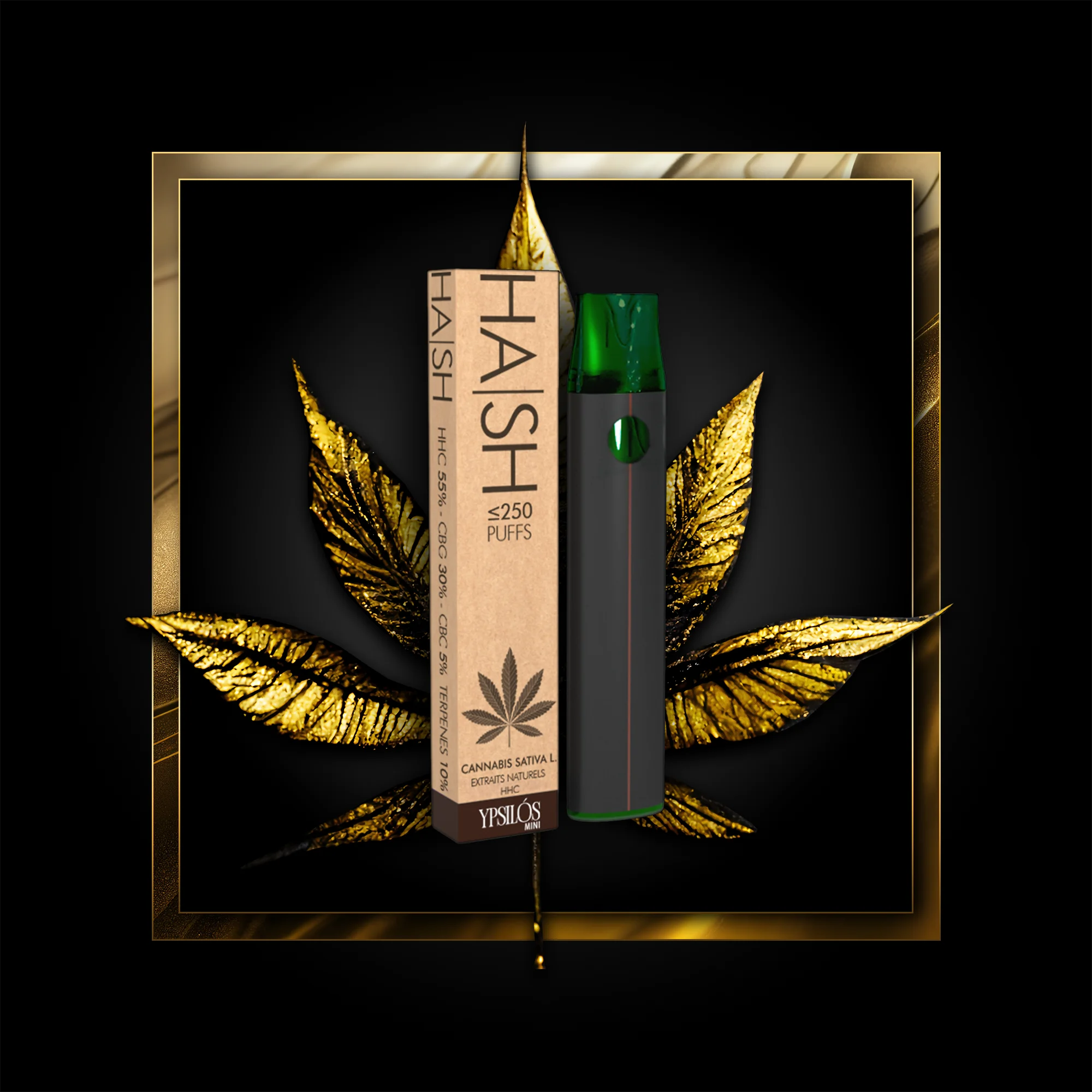 Hash (jednorázové použití) 250 šluků - 0,50 ml. HHC